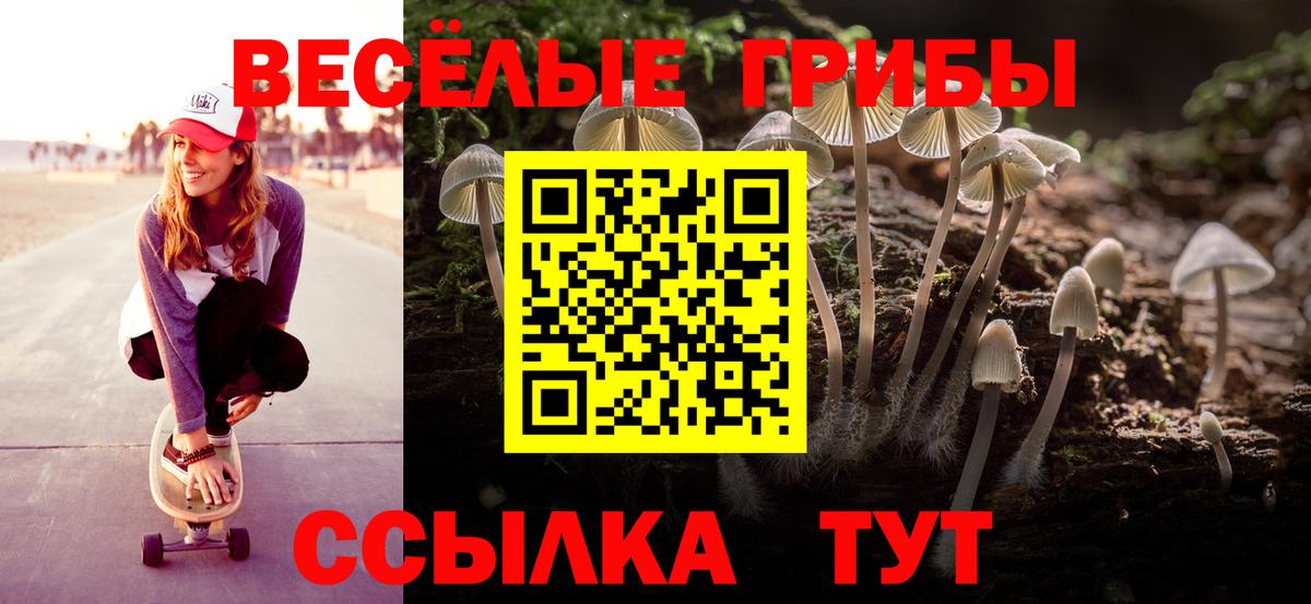 купить   Псилоцибиновые грибы ЛСД  Вход с VPN  Чернушка 